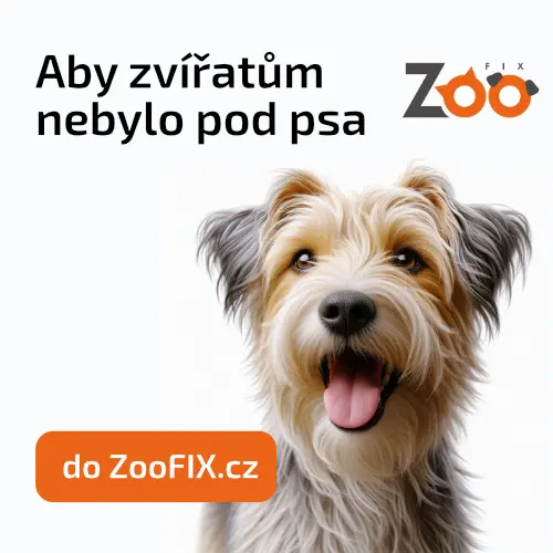 Portrét šťastného skotského teriéra s dlouhými srstí.