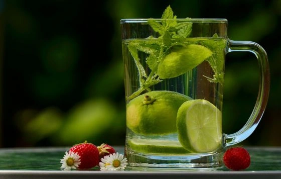 Sklenička s limetou a mátou jako močopudný nápoj