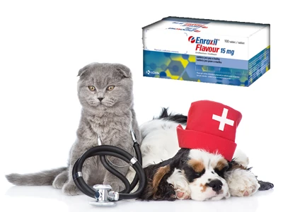 Psí a kočičí antibiotikum Enroxil pro veterinární péči