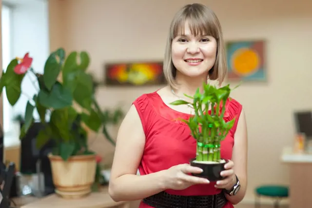 Žena drží pokojový bambus v květináči s úsměvem.