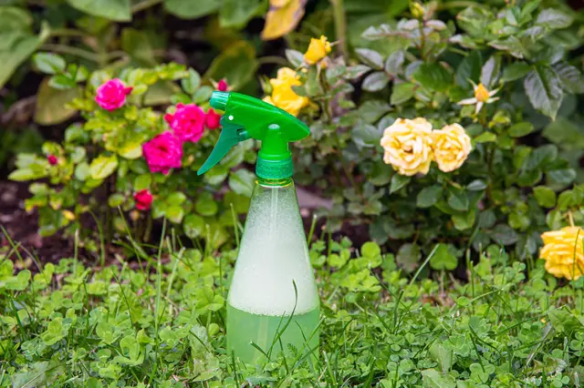 Spray na třásněnky v zahradě