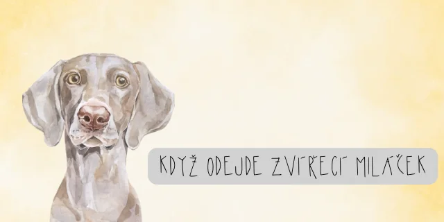 Vodní malba psa s textem o smrti zvířete