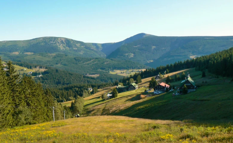 Pohled do přírodního parku České středohoří s lesy a kopci.