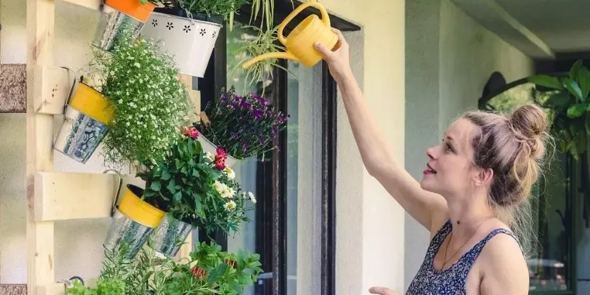 Žena zalévá rostliny v truhlíku z palet