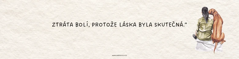 Osoba se psa, ilustrace smutku a lásky