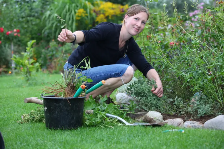 Žena sází trvalky do zahrady pomocí zahradnických nástrojů.