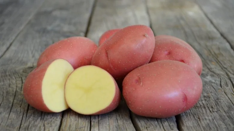Červené brambory na dřevěném povrchu s řezaným kouskem.
