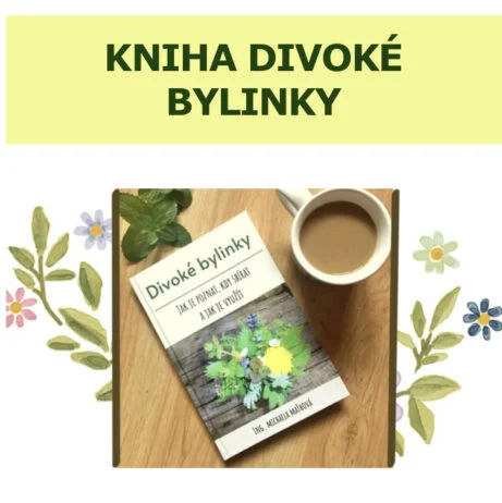 Kniha o divokých bylincech s kávou na dřevěném stole.