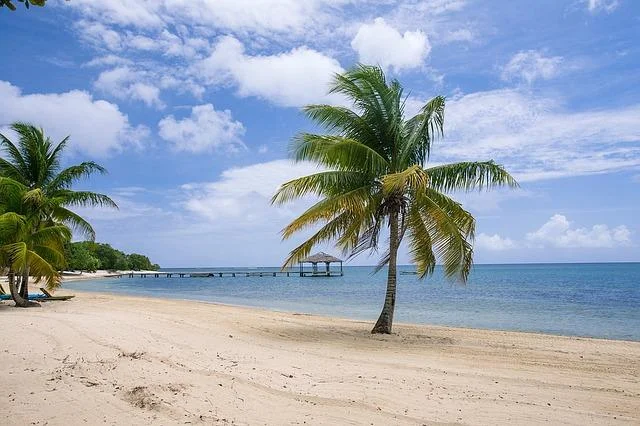 Pohled na tropickou pláž s palmami a modrou vodou.