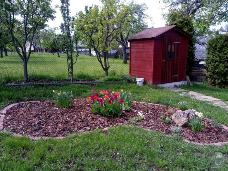 Zahrada s kvetoucími tulipány a červeným skladem.